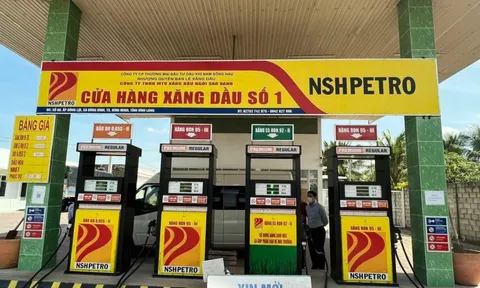 Vì sao Phó tổng giám đốc Công ty Dầu khí Nam Sông Hậu bị bắt?