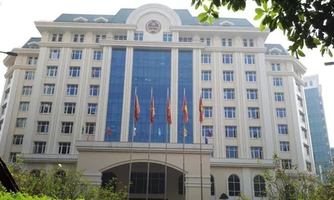 Xóa bỏ thuế khoán, chuyển sang kê khai: Ngành Thuế 'cầm tay chỉ việc', hỗ trợ hộ kinh doanh tối đa