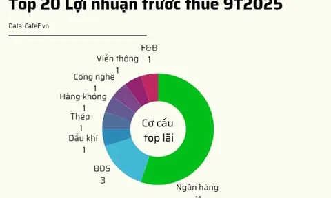 20 doanh nghiệp niêm yết lãi lớn nhất 9T2025: Có 10 cái tên lãi trên 15.000 tỷ gồm 7 ngân hàng và 3 công ty BĐS