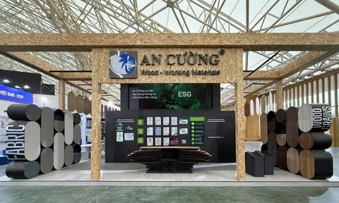 An Cường tiếp tục đón nhận thành quả từ khoản đầu tư chiến lược vào Thắng Lợi