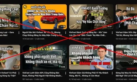 Vingroup: Sẽ kiện tới cùng, Lê Trung Khoa chỉ là bước khởi đầu, sắp tới sẽ có nhiều vụ kiện nữa ở Đức, Mỹ, Canada