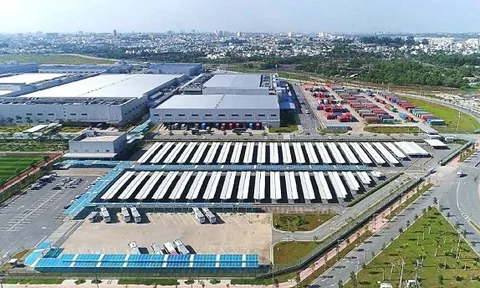 SIP tạm ứng cổ tức tiền mặt 10% sau khi vượt kế hoạch lợi nhuận cả năm chỉ sau 9 tháng