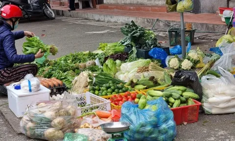 Rau củ đắt hơn thịt, người Hà Nội choáng như bị 'móc túi'