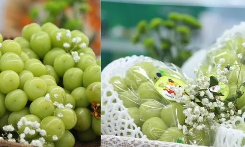 Cận cảnh loạt trái cây 'hot' bị nhái nguồn gốc, lừa người tiêu dùng