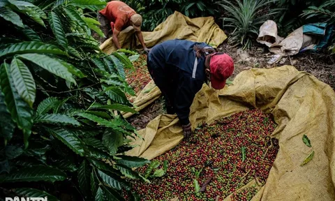 Hàng Việt Nam vào Mỹ vượt 126 tỷ USD, cao nhất lịch sử