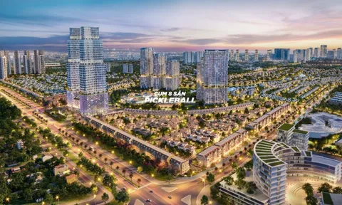 SJ Group triển khai cụm 8 sân pickleball tại khu đô thị Vista Nam An Khánh