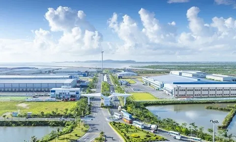 Sau siêu dự án 14 tỷ USD của Vingroup, Kinh Bắc và nhà đầu tư châu Âu đề xuất làm tổ hợp cảng biển, sân bay, công nghiệp tại Hải Phòng