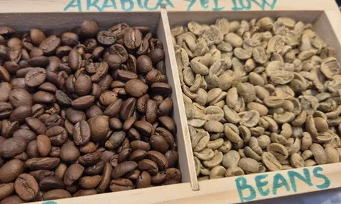 Giá cà phê hôm nay 25-11: Robusta đột ngột đi xuống, Arabica tăng mạnh