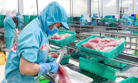 Sắp đến mùa cao điểm, doanh nghiệp thủy sản điều chỉnh hàng tồn kho thế nào?