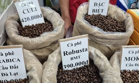Giá cà phê hôm nay 29-11: Thêm phiên tăng và định hướng mới của cà phê Việt