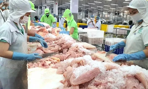 Xuất khẩu thủy sản bứt tốc, mục tiêu cán mốc 11 tỷ USD