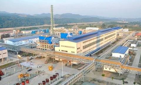 Vimico đối mặt nguy cơ hủy tư cách công ty đại chúng từ năm 2026