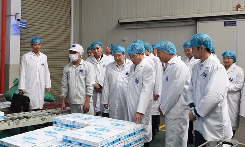 Chân dung các doanh nghiệp Việt Nam đang đầu tư tại Campuchia