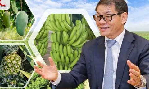 Tỷ phú Trần Bá Dương kể về thương vụ bán chuối trong 10 năm cho "ông trùm" nông nghiệp Fresh Del Monte: Chúng tôi phải cam kết nếu chất lượng dưới 90% chuẩn sẽ bị phạt 1 USD mỗi thùng (13 kg)