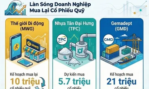 Loạt công ty Thế giới di động, Nhựa Tân Đại Hưng, T-Corp, Gemadept có cùng một hành động