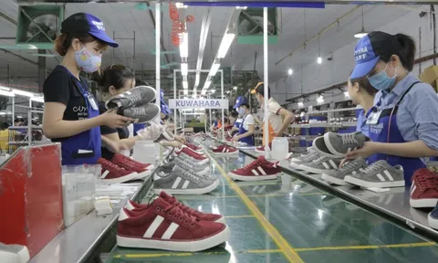 Cổ phiếu Giầy Thượng Đình chạm trần 8 phiên liên tiếp giữa bối cảnh thoái vốn Nhà nước