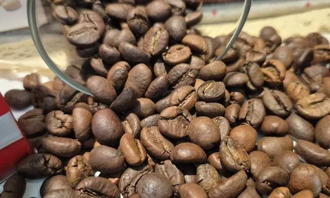 Giá cà phê hôm nay 5-12: Cắt mạch giảm và tin tốt ở thị trường số 1