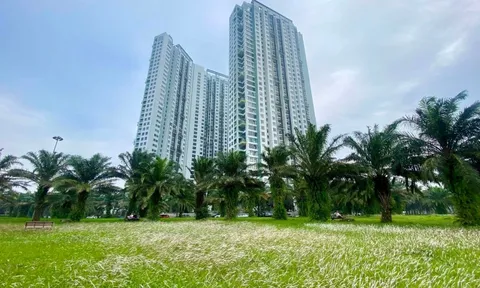 Tại sao phân khúc cao cấp chiếm chủ đạo thị trường bất động sản?