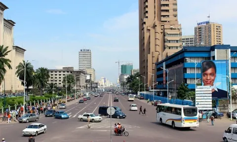 Vingroup lập công ty con ở Congo sau khi được giao 6.300 ha đất