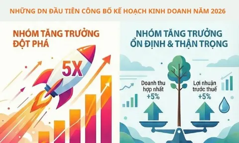 Những DN đầu tiên công bố kế hoạch kinh doanh 2026: Taseco Land tham vọng lãi gấp 5 lần, Đạm Cà Mau thận trọng dự kiến lãi ròng giảm 18%