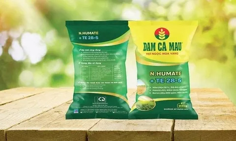 Đạm Cà Mau nâng gấp đôi chỉ tiêu lợi nhuận 2025 lên 1.448 tỷ đồng