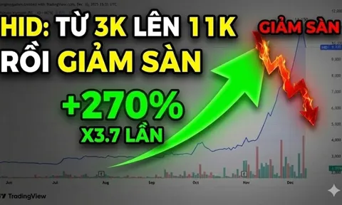 Biến lớn tại công ty sở hữu Nhà máy điện gió 9.000 tỷ tại Quảng Trị