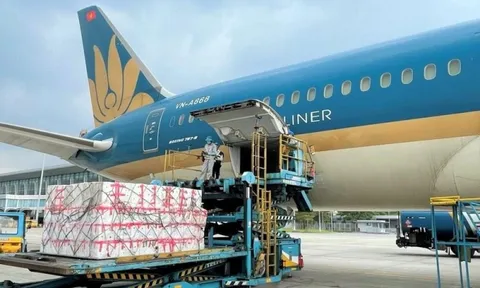 Một 'đại gia' ngành hàng không chốt ngày chi trả cổ tức tiền mặt tỷ lệ 25%