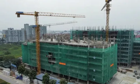 Cần mạnh tay với vi phạm trục lợi nhà ở xã hội