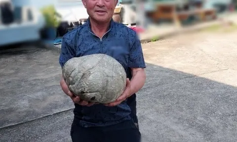 Ông lão nông dân nhặt được kho báu tiền tỷ khi đi cắt cỏ