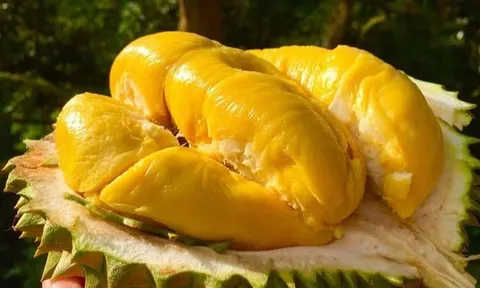 Xuất khẩu rau quả đạt kỷ lục 8,5 tỷ USD