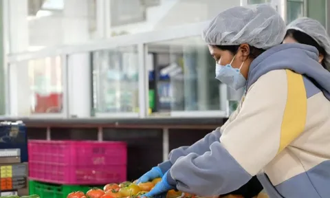 Giá rau củ quả cao ngất ngưởng