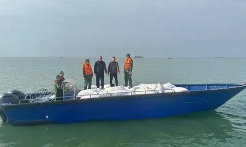 Quảng Ninh bắt giữ 3 xuồng máy chở 27 tấn cau khô không rõ nguồn gốc