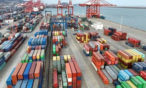 Tin mới nhất về gần 500 container chè Việt Nam ách tắc tại Pakistan