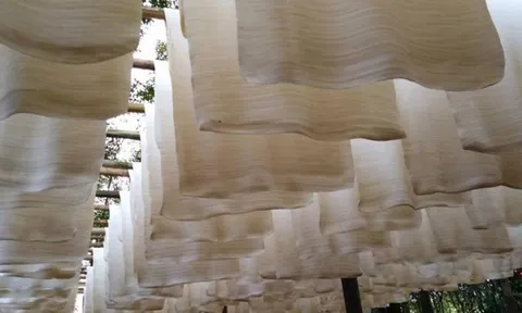 'Vàng trắng' của Việt Nam đắt hàng tại Đông Nam Á: diện tích trồng hơn 900.000 ha, nước ta là ông lớn top 5 thế giới