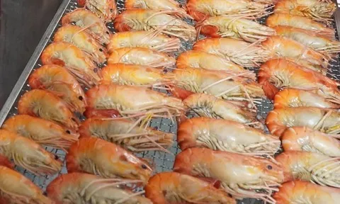 "Con tôm ôm cây lúa" bán 1 triệu đồng/kg nhờ bí quyết này