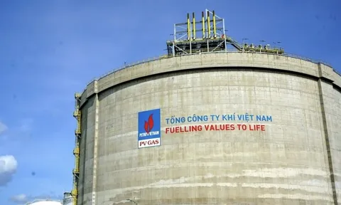 PV GAS không còn đủ điều kiện là công ty đại chúng
