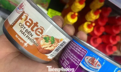 Nóng: Tiêu hủy gần 14.000 hộp 'patê cột đèn' làm từ thịt lợn bệnh