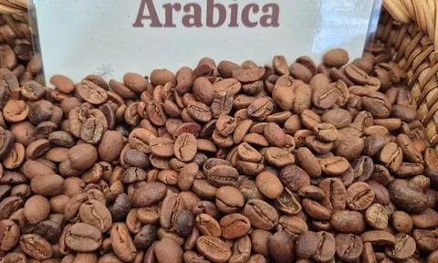 Giá cà phê hôm nay 10-1: Arabica lao dốc