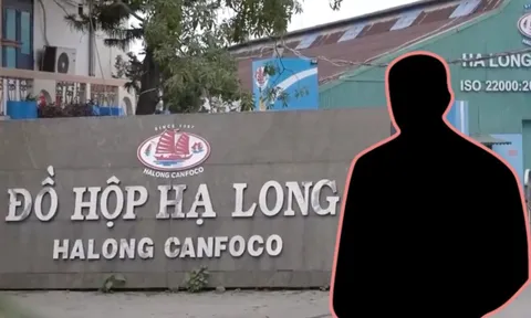 Tổng giám đốc Đồ hộp Hạ Long vừa bị bắt là ai?