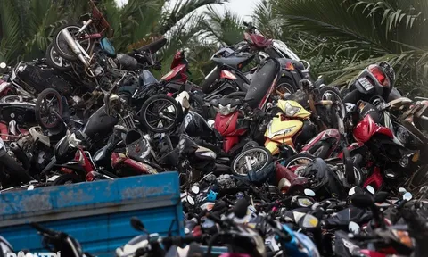 Hơn 24.000 xe máy vi phạm ở TPHCM được rao bán, giá từ 470.000 đồng/chiếc