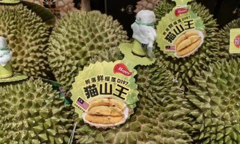 Sầu riêng tại một quốc gia Đông Nam Á bất ngờ gặp khó: Nguồn cung dư thừa khiến giá giảm mạnh, vừa tăng nhập khẩu từ Việt Nam gấp 5 lần