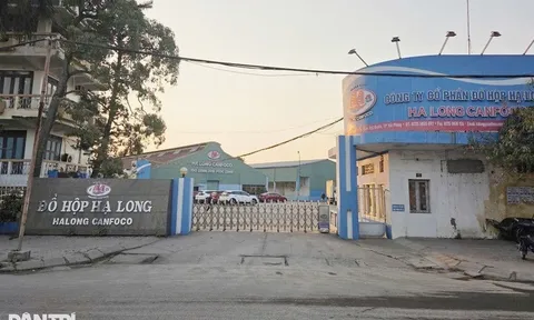 Lý do nhà máy Đồ hộp Hạ Long ở Hải Phòng tạm dừng sản xuất