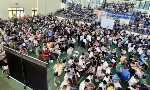 Tăng mức đặt cọc đấu giá đất lên tới 50%