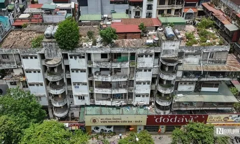 Kiểm định, đánh giá chất lượng các chung cư cũ