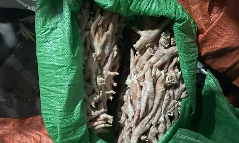 Phát hiện hơn 7 tấn chân gà, xúc xích nhập lậu suýt được tuồn ra thị trường