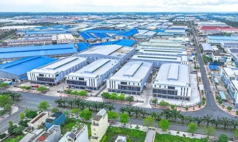 Công ty bất động sản KCN báo lãi quý 4/2025 tăng 44%, cổ phiếu bất ngờ tăng nóng