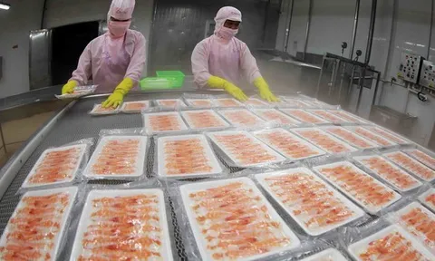 Ngành kinh tế tỷ đô của Việt Nam ghi nhận kỷ lục chưa từng có