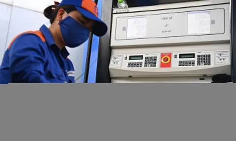 Chuyện gì đang xảy ra với cổ phiếu Petrolimex