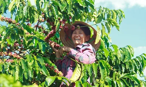 Việt Nam - quốc gia sở hữu "kho báu đen" vừa phá kỷ lục 8,4 tỷ USD - nhận tin vui