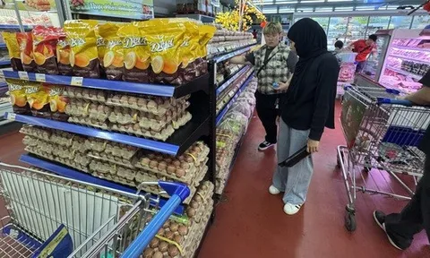 Giá trứng chênh nhau, người tiêu dùng bất lợi